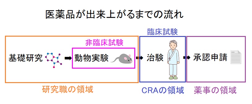 Craに将来性はあるの 経験者だからこそ分かることを本気で解説してみた 治験のチカラ