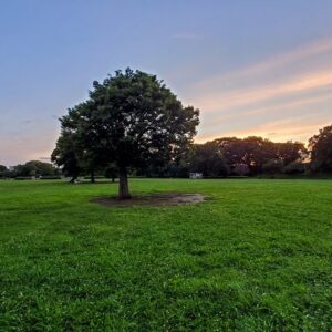 埼玉で日帰りOKの治験はある？見つけ方についても詳しく解説！