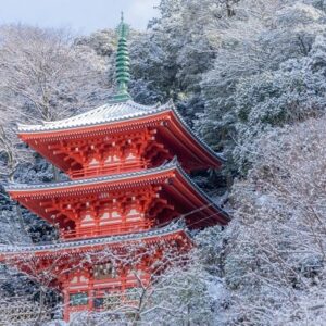 【日帰りもOK】プロが岐阜でおすすめの治験案件と募集サイトをご紹介