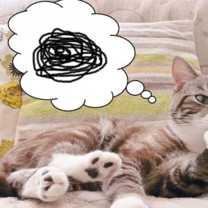 【体験談あり】病院薬剤師を辞めたいと後悔する理由と対処法